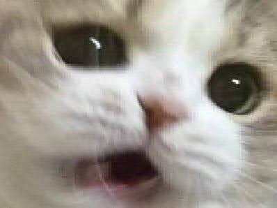Foto de Miguel